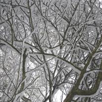 snow 1