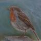 Winter Robin | £65 | | Pastels Winter Robin