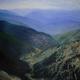 The way we came | | | oil on canvas The way we came