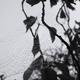 Spider web 3 | | | Spider web 3