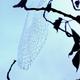 Spider web 2 | | | Spider web 2
