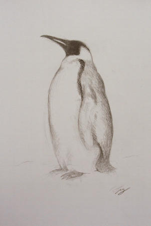 Penguin Study I