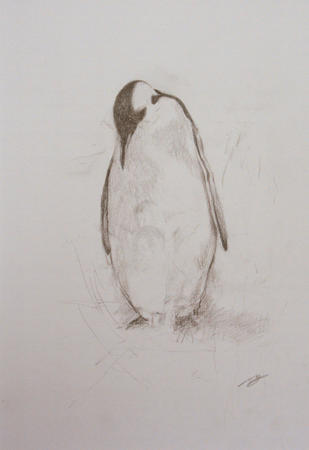 Penguin Study II