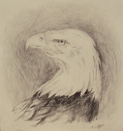Eagle Study I