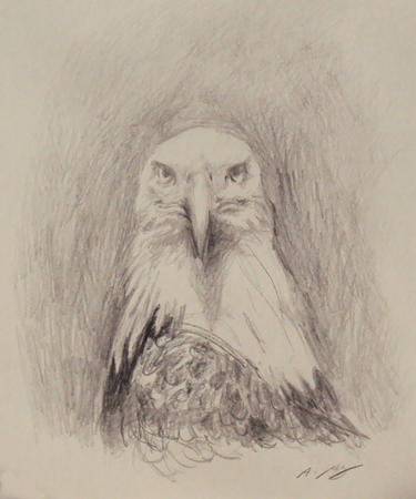 Eagle Study II
