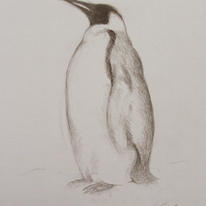 Penguin Study I