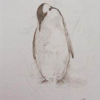 Penguin Study II