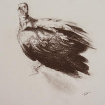 Vulture Study II
