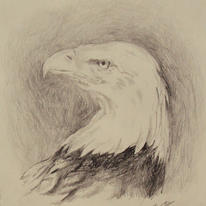 Eagle Study I