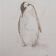 Penguin Study II