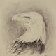 Eagle Study I
