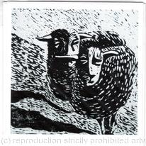 welsh sheep