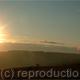 Lambs at Sunrise | £120 | | Photographic Print Lambs at Sunrise