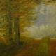 Forest autumn