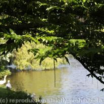 Park Lake Aalst, Belgium
