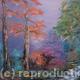 American forest | £45 | 25 x 25cm | oil on canvas American forest