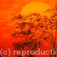 Kenyan sunset | £95 | 40 x 40cm | oil on canvas Kenyan sunset