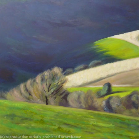 Shadowed Hills #2