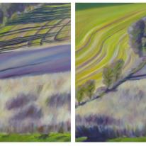 Towards Heathy Brow: January