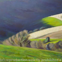 Shadowed Hills #2