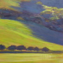 Fleeting Shadows