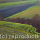 Downland Contours