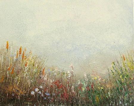Wildflower Meadow
