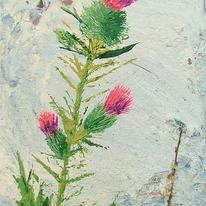Spear Thistle