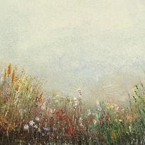 Wildflower Meadow