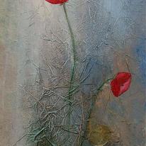 Wild Poppies 4