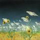 Dance of the Sunflowers