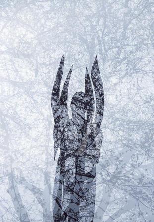 Memory Man (Angel)