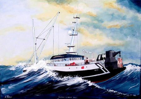 Dolphin in Heavy Seas