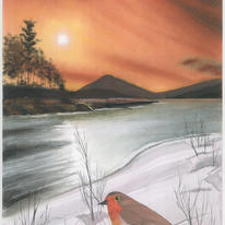Robin in winter