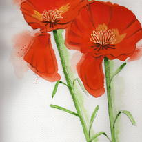 flowers 6