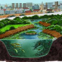 Degrading river
