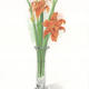 Flowers 2 | | 30 x 42cm | Watercolour / heavy paper Flowers 2