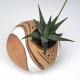 Planter
