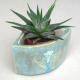 Planter