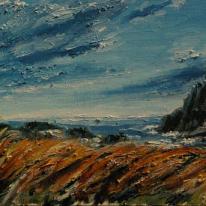 Llanddwyn island-strong wind from the sea.