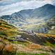 SNOWDON- LIGHT IN THE…