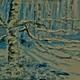 silver birches