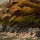 Criccieth Castle-sun…