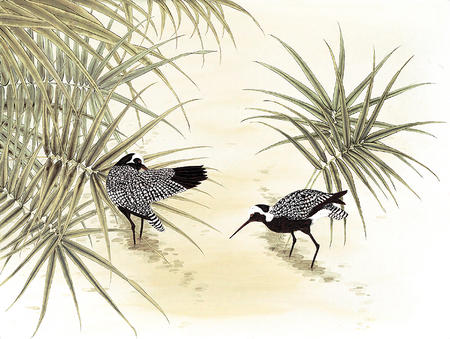 Birds in Pond