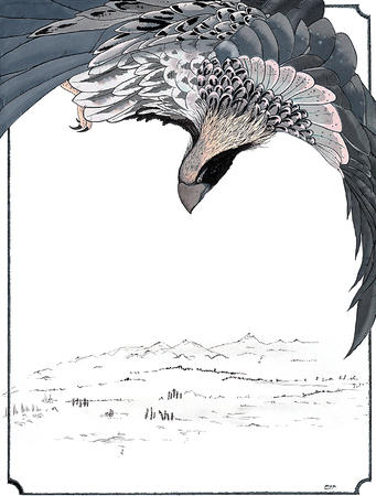 Hawk in Prey