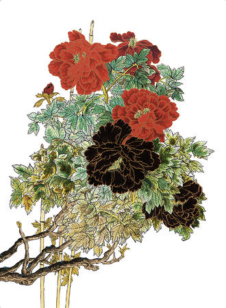 Peonies 2