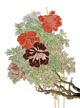 Peonies