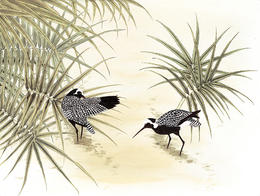 Birds in Pond