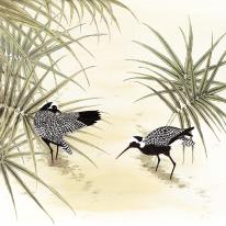 Birds in Pond