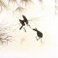 Birds in Autumn